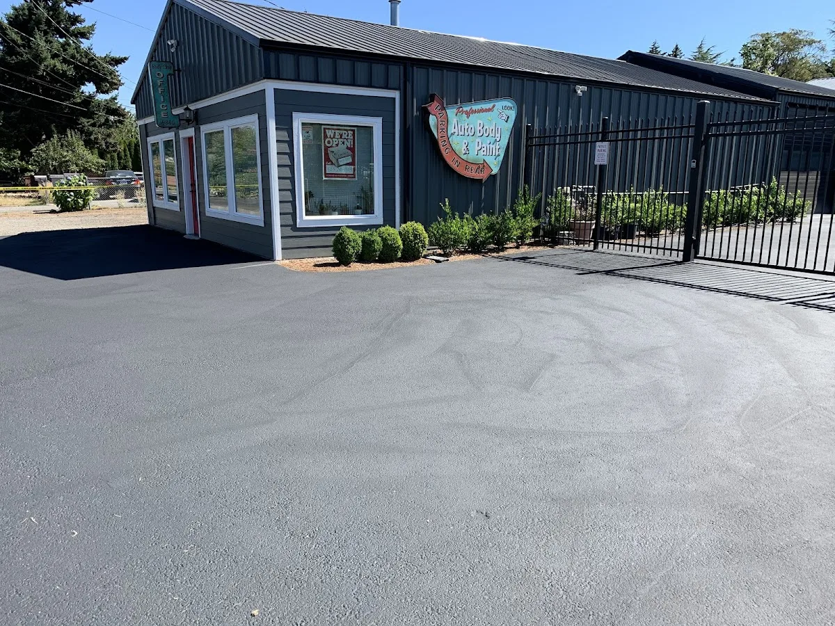 Professional Auto Body & Paint Inc