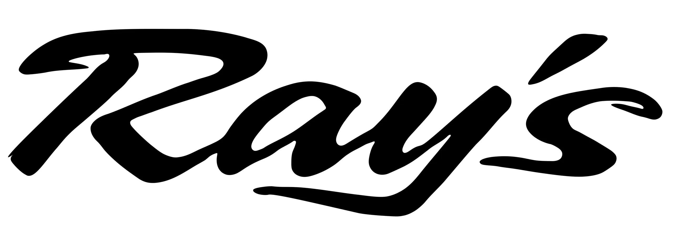 Ray's Auto Body Repair repair shop photo 2